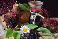 elderberry vinegar for winter flu season 2019