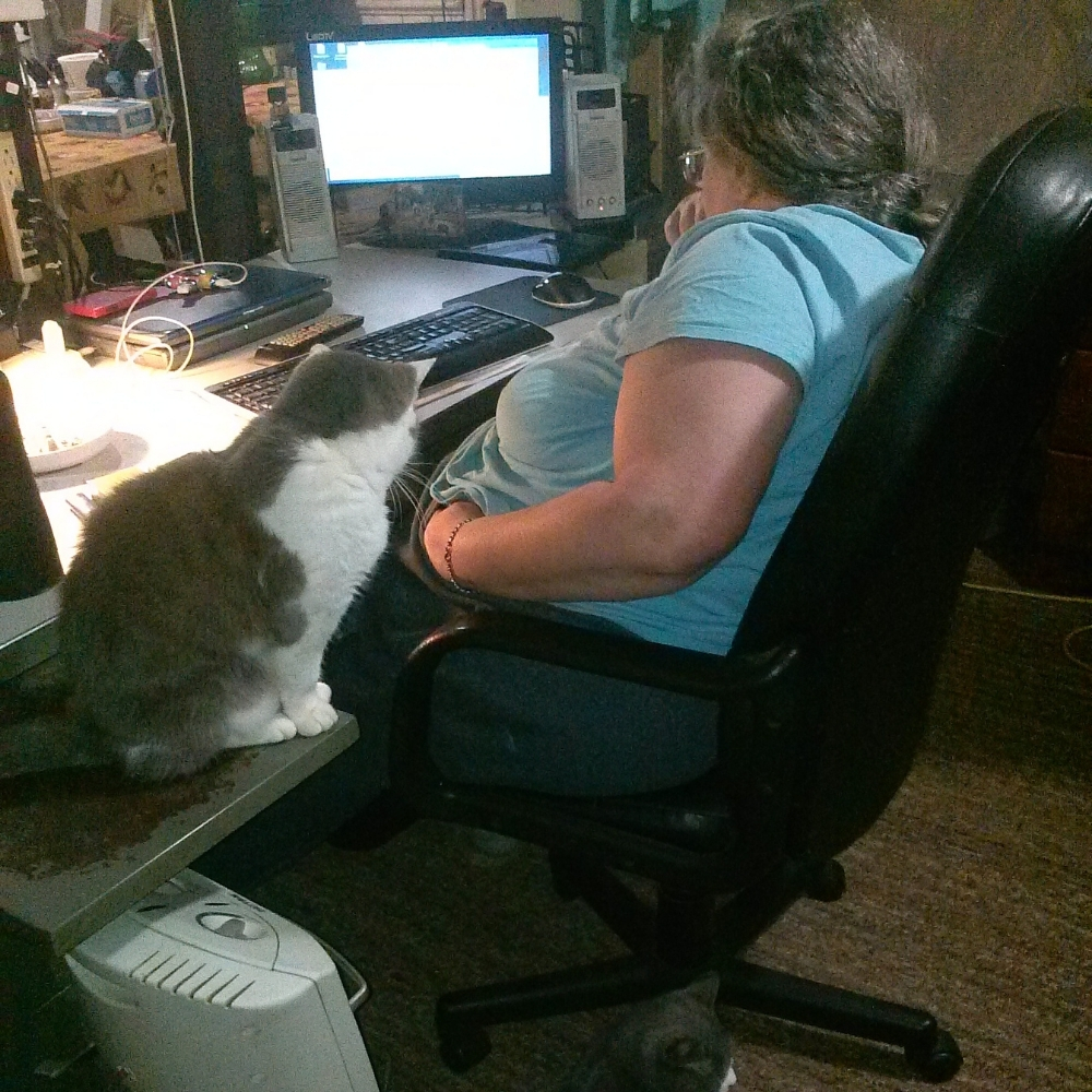 You are currently viewing Inspiration Essay: Jackie’s New Life (part 1) by Denise Lindsey