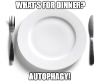 my first anniversary as a bear