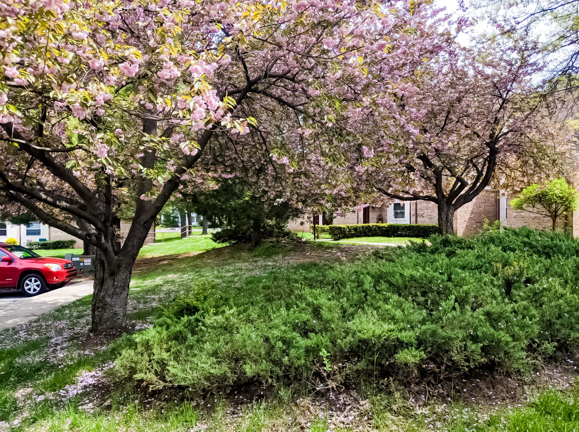 You are currently viewing the difference in my mindset in under 2 years