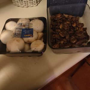 Mushroom & Onion Prep