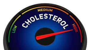 Why did my cholesterol go up on the Eat Like A Bear program?
